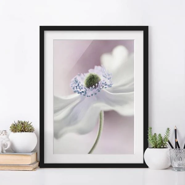 Bild Anemonenbrise I - Kiefer teilmassiv - Schwarz - 30 x 40 cm - Image 3