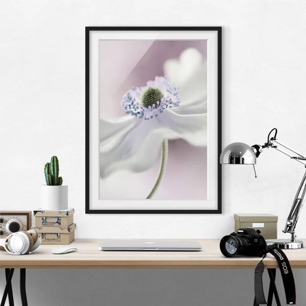 Bild Anemonenbrise I - Kiefer teilmassiv - Schwarz - 30 x 40 cm - Image 4