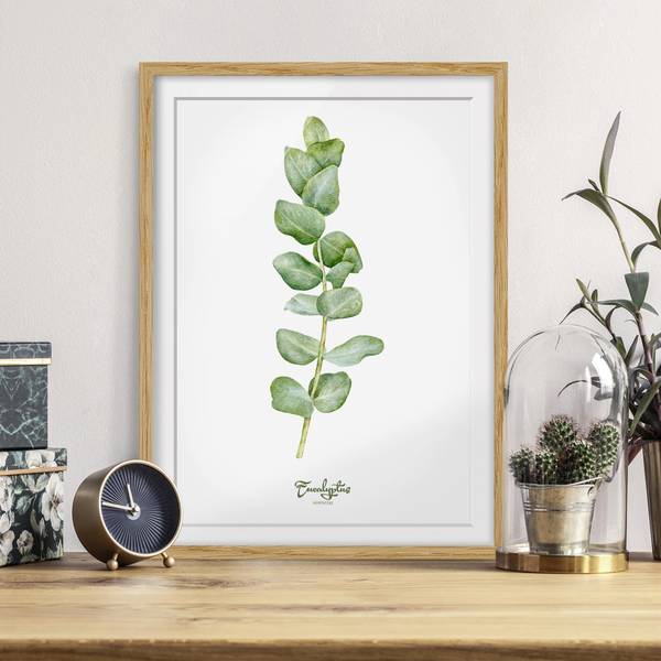 Bild Aquarell Botanik Eukalyptus IV - Eiche teilmassiv - Eiche - 30 x 40 cm - Image 3