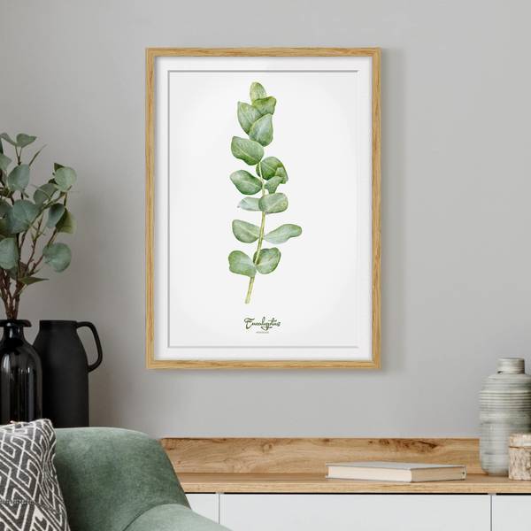 Bild Aquarell Botanik Eukalyptus IV - Eiche teilmassiv - Eiche - 30 x 40 cm - Image 4