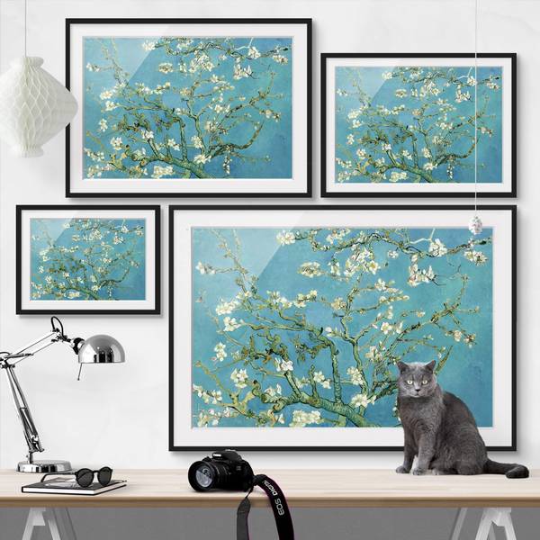 Bild Mandelblüte V - Kiefer teilmassiv - Schwarz - 100 x 70 cm - Image 6