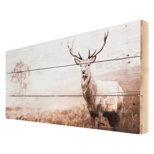 Bild Tiksi - Braun - Tanne - 70 x 30 x 3.8 cm - Image 3