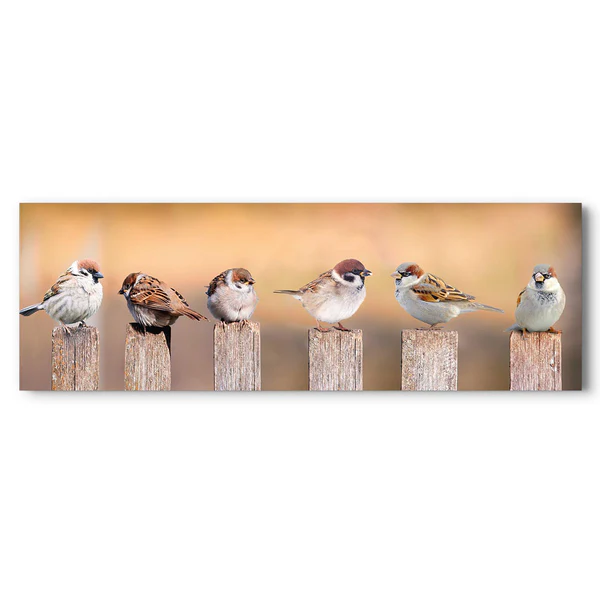 Bild Vogelfamilie - Holzwerkstoff - Mehrfarbig