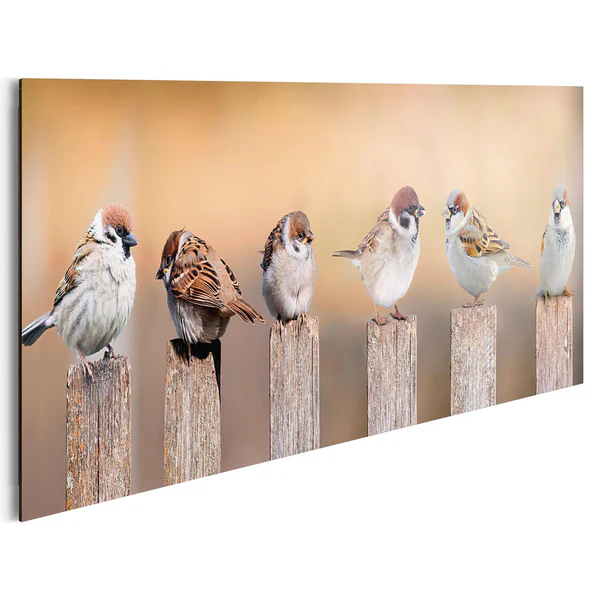Bild Vogelfamilie - Holzwerkstoff - Mehrfarbig - Image 5