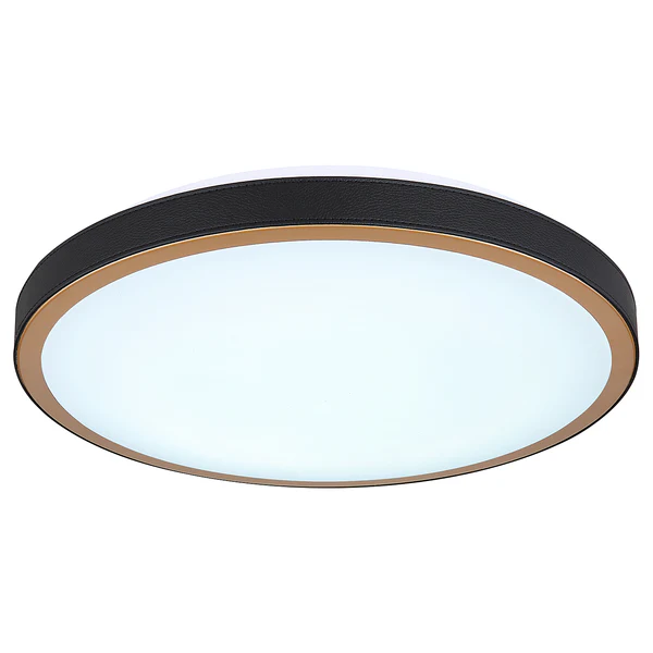 Deckenleuchte Sammi - Eisen / Acrylglas - 1-flammig - Schwarz - Durchmesser: 42 cm - Image 4