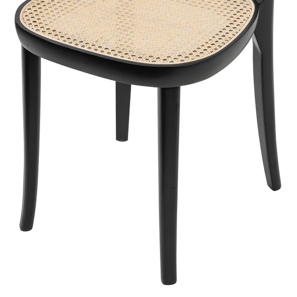 Esszimmerstuhl Darcey (2er-Set) - Polywood & Rattan / Buche massiv - Rattan / Schwarz - Image 15