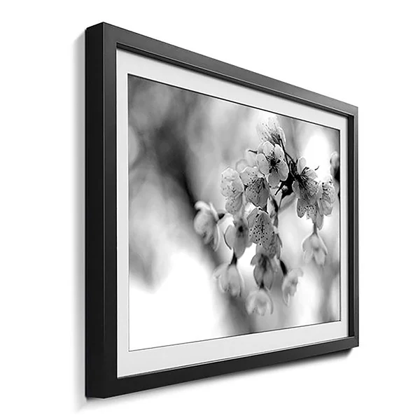 Gerahmtes Bild Cherry Blossoms - Fichte / Acrylglas - Schwarz / Weiß - Image 3