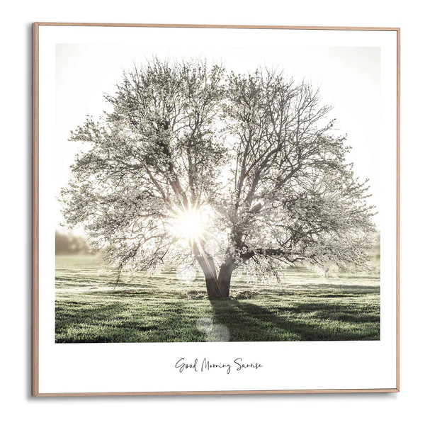 Gerahmtes Bild Morgensonne Baum - Print in Holzrahmen - Grün