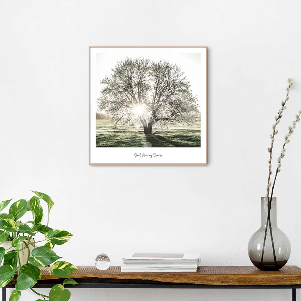 Gerahmtes Bild Morgensonne Baum - Print in Holzrahmen - Grün - Image 2