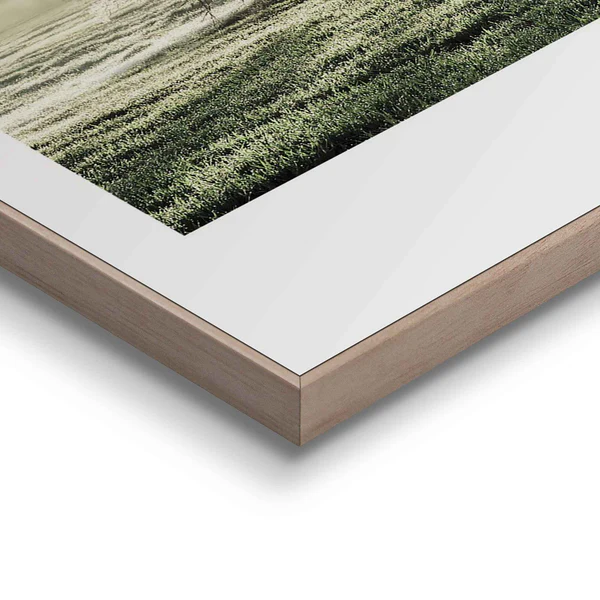 Gerahmtes Bild Morgensonne Baum - Print in Holzrahmen - Grün - Image 3