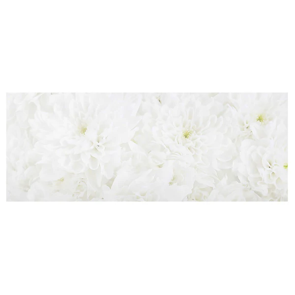 Glasbild Dahlien Blumenmeer - Weiß - 80 x 30 x 0,4 cm - 80 x 30 cm