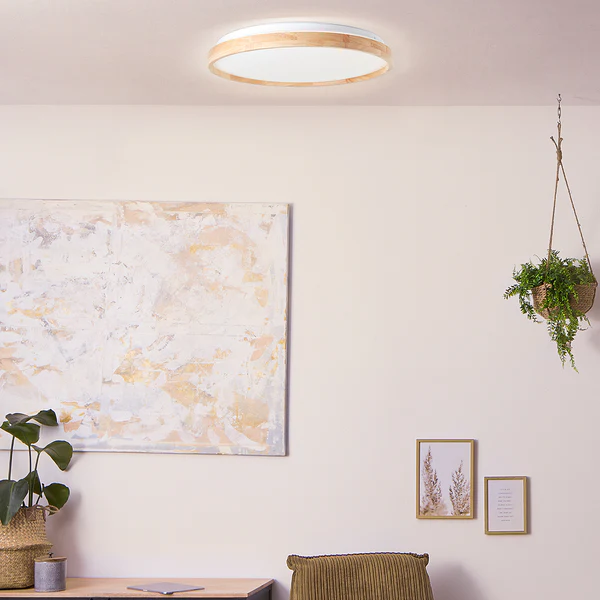 LED-Deckenleuchte Alson - Kunststoff / Eisen - 1-flammig - Image 2