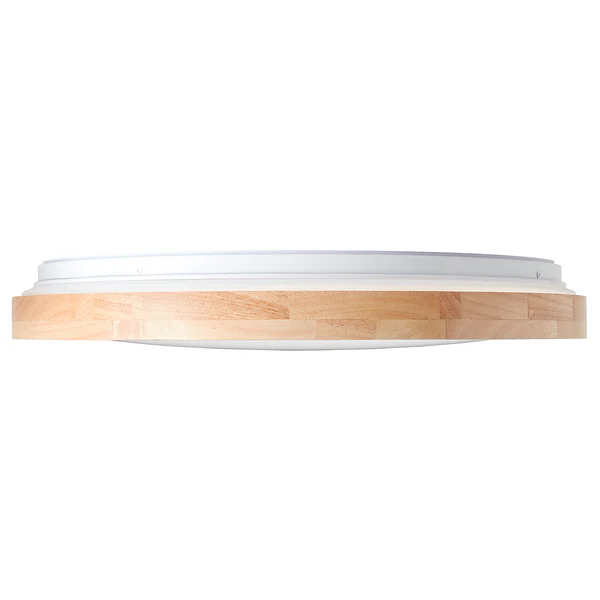 LED-Deckenleuchte Alson - Kunststoff / Eisen - 1-flammig - Image 5
