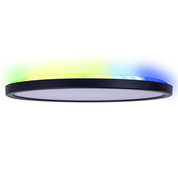 LED-Deckenleuchte Carlo - Kunststoff - Schwarz - 1-flammig - Durchmesser: 29 cm - Image 8