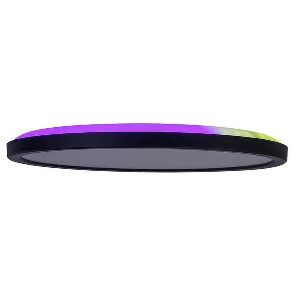 LED-Deckenleuchte Carlo - Kunststoff - Schwarz - 1-flammig - Durchmesser: 54 cm - Image 9