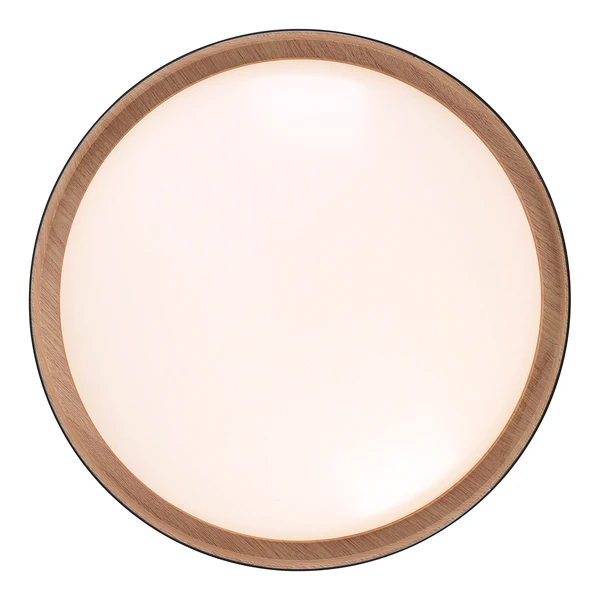 LED-Deckenleuchte Emilia - Polycarbonat - 1-flammig - Schwarz - Image 4