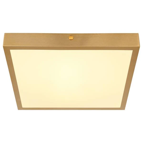LED-Deckenleuchte Tibey - Acrylglas / Eisen - 1-flammig - Breite: 25 cm