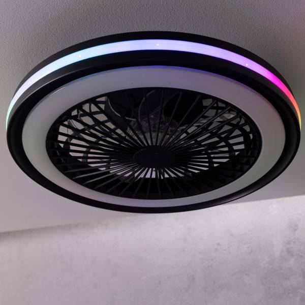 LED-Deckenventilator Palmero - Eisen / Kunststoff - Schwarz - 1-flammig - Image 4