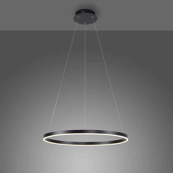 LED-Pendelleuchte Ritus Typ B - Kunststoff / Aluminium - 1-flammig - Schwarz - Image 3