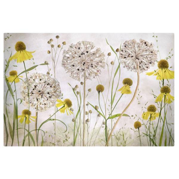 Leinwandbild Allium Helenium - Canvas /  Fichte massiv - Beige / Mehrfarbig - 120 x 80 cm