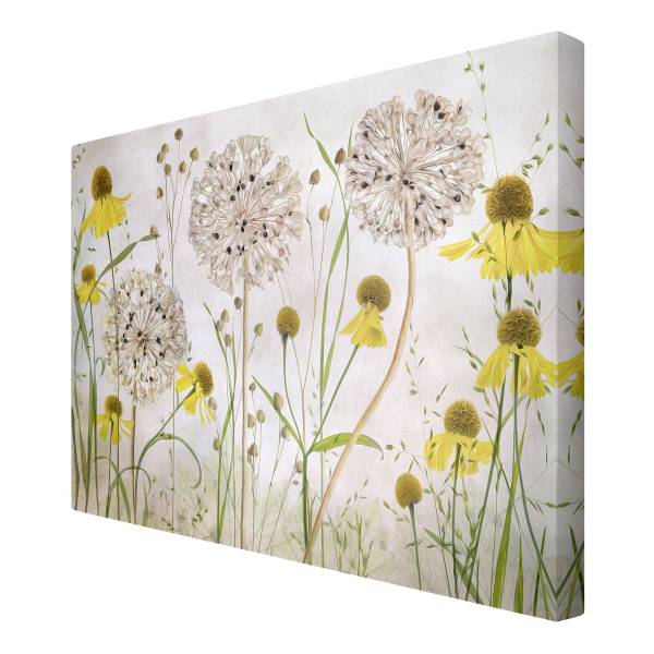 Leinwandbild Allium Helenium - Canvas /  Fichte massiv - Beige / Mehrfarbig - 120 x 80 cm - Image 5