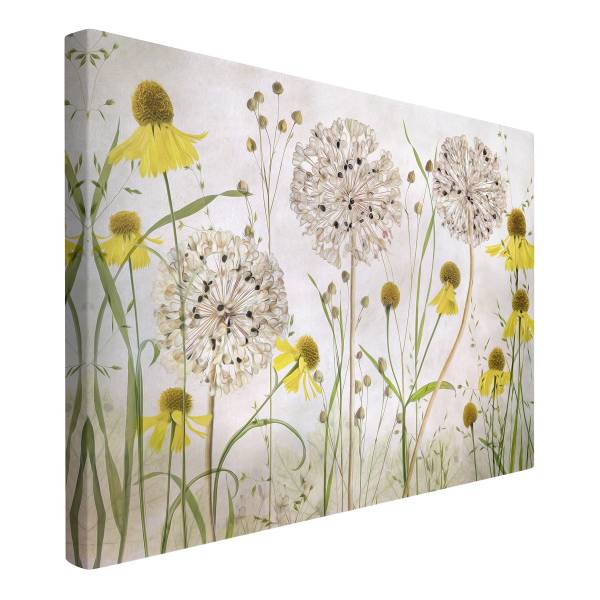 Leinwandbild Allium Helenium - Canvas /  Fichte massiv - Beige / Mehrfarbig - 120 x 80 cm - Image 6