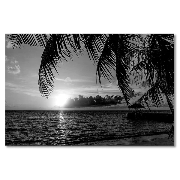 Leinwandbild Maledives - Fichte Massiv / Mischgewebe - 80 x 120 cm - Schwarz / Weiß