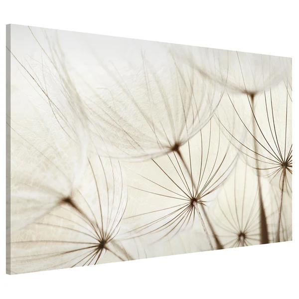 Magnettafel Sanfte Gräser - Stahl / Vinyl-Spezialfolie - Beige - 90 x 60 cm - Image 4