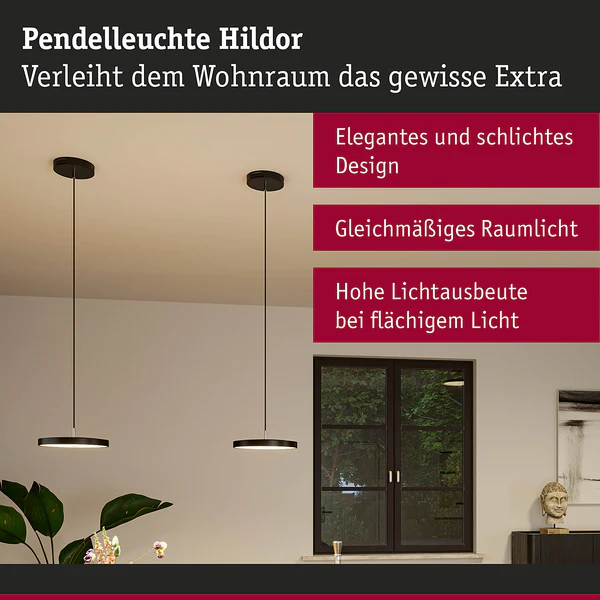 Pendelleuchte Hildor - Aluminium / Kunststoff - Schwarz - 1-flammig - Image 6