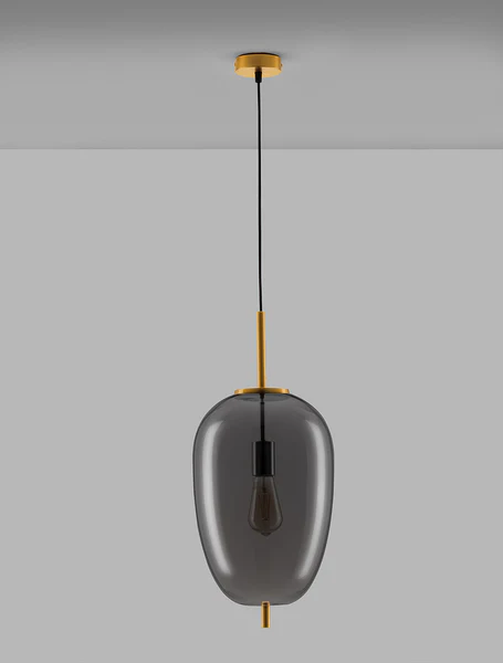 Pendelleuchte Lato Typ G - Rauchglas / Aluminium - 1-flammig - Image 3