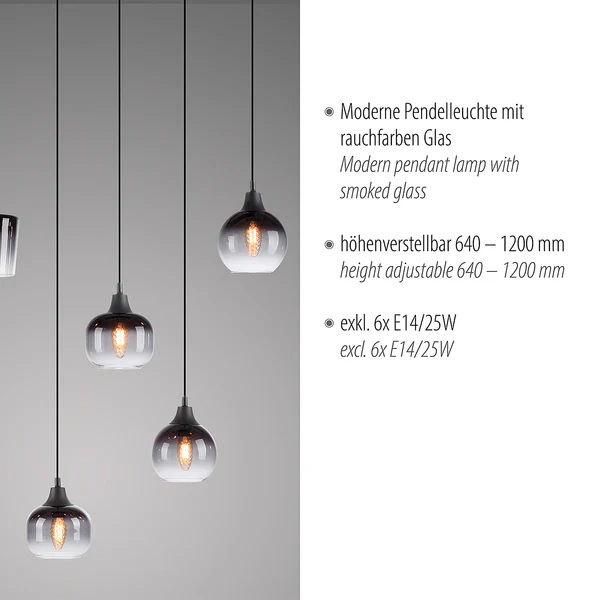 Pendelleuchte Zea Typ C - Rauchglas / Eisen - 5-flammig - Image 8