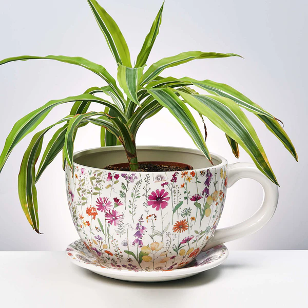 Pflanztasse PLANT A CUP Blumendekor - Dolomit - Mehrfarbig - Image 2