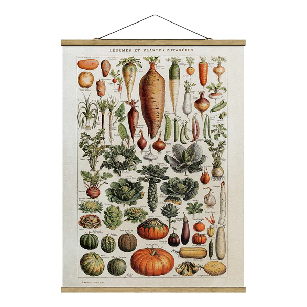 Stoffbild Vintage Lehrtafel Gemüse - Textil; Massivholz (Holzart) - Grün - 50cm x 66,4cm x 0,3cm - 50 x 66 cm