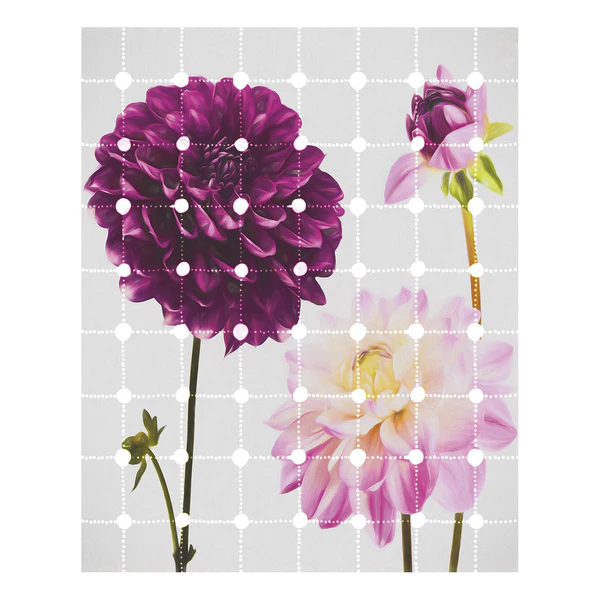 Vlies Fototapete Flowers & Dots - Vlies - Bunt