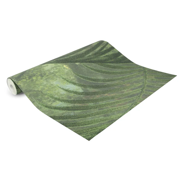Vlies Fototapete Peacock II - Grün - 2m x 2,8m x 0,02m - Image 5
