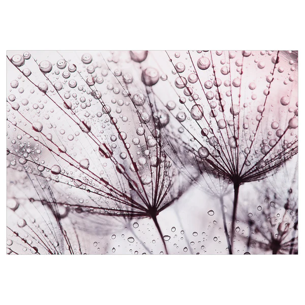 Vlies Fototapete Rainy Time - Vlies - Rosa - 300 x 210 cm