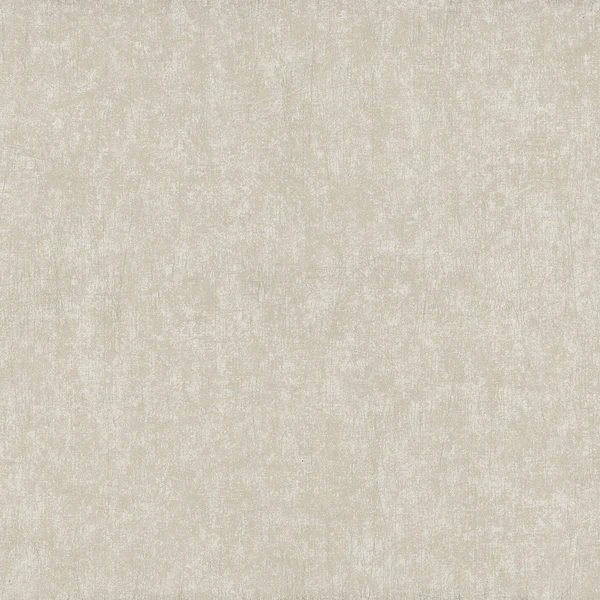 Vliestapete Concrete Beton - Beige - 0,52m x 10,05m x 0,02m - Cappuccino