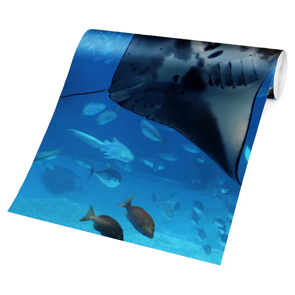 Vliestapete Manta Ray - Vliespapier - Blau - 432 x 290 cm - Image 5