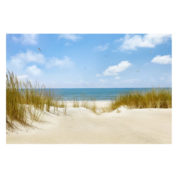 Vliestapete Strand an der Nordsee - Vliespapier - Mehrfarbig - 432 x 290 cm