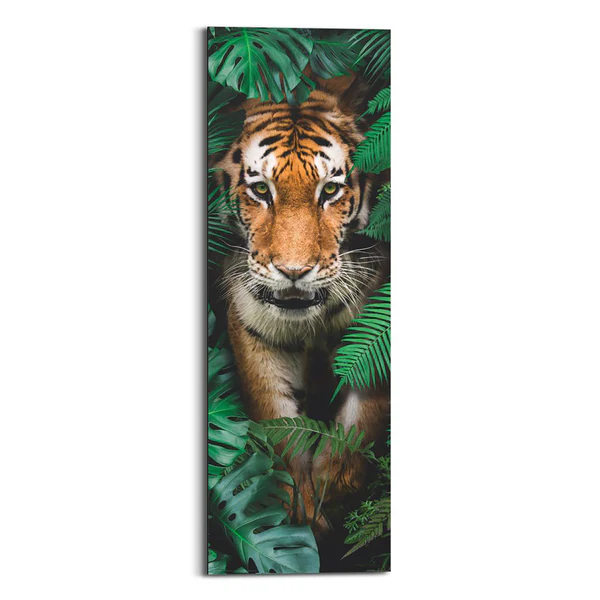 Wandbild Tiger - Grün