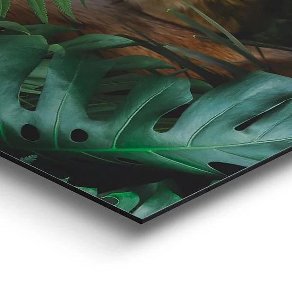 Wandbild Tiger - Grün - Image 3