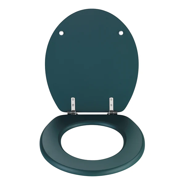 WC-Sitz Prima - Edelstahl - Grün - Image 2