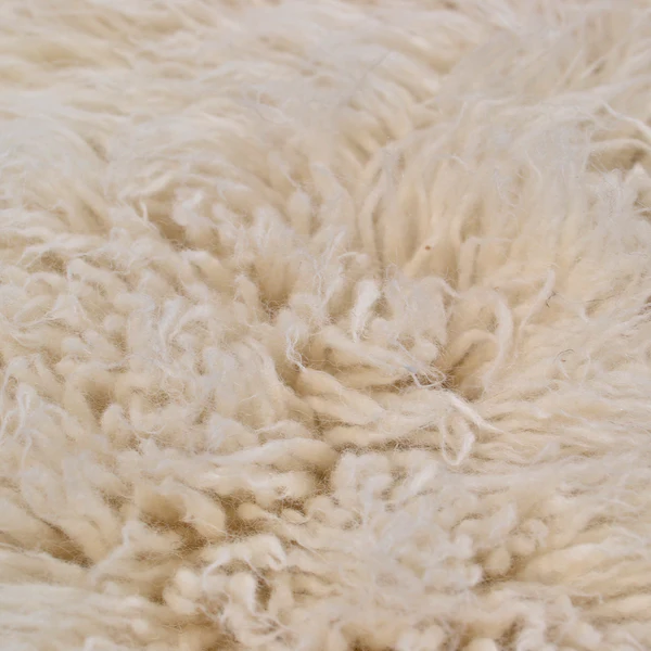 Wollteppich Flokos 2450 - Schurwolle - Weiß - 120 x 180 cm - Image 8